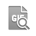 file,format,gif,zoom icon