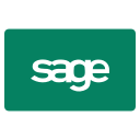 card, income, pattern, paying, payment, sage svg vector icon