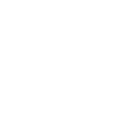 vine icon
