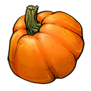 pumpkin,fruit,vegetable icon
