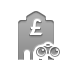 bank,pound,binoculars icon