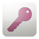 access, ms icon