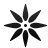 star icon