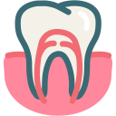 dental, dental treatment, dentist, gum, gums tooth, root canal, tooth svg vector icon