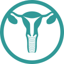 uterus svg vector icon