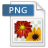 png icon