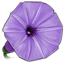 LittleBee 61 icon