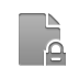 document,lock icon