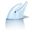 animal, dolphin, fish, mysql icon