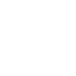 appbar,anchor icon