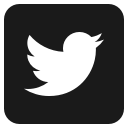 media, social, twitter svg vector icon