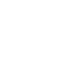 save,inv icon