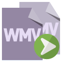 file,format,wmv,right icon
