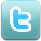 bird, twitter icon