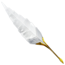 antique, feather, quill, write, writing icon