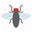 fly, housefly, insect icon