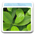 picture,photo,pic,image icon