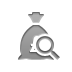 money,bag,pound,zoom icon