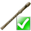 flute,ok,instrument,right,yes,correct,next,forward,arrow icon