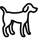 dog icon