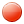 circle,red icon