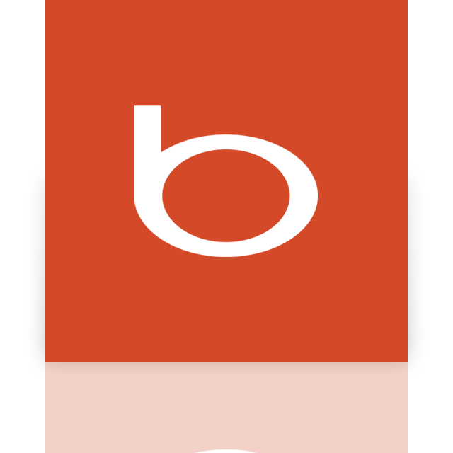 bing,mirror icon