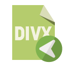 file,format,divx,left icon
