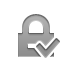 lock,checkmark icon
