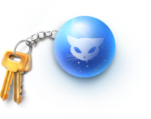 login icon