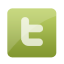 twitter,social network,social,sn icon
