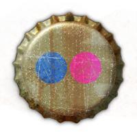 flickr icon