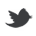 twitter icon