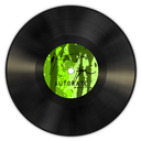 vinyl,green icon