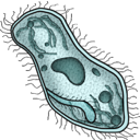 cell icon