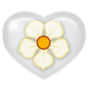 magnolia, media, social icon