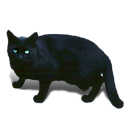 1 007 Png And Svg Cat Icons For Free Download Uihere