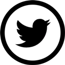 circle, social, twitter icon