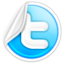 twitter,social network,social,sn icon