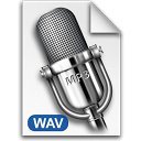 wav icon