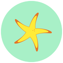 beach, sea, star, summer icon