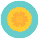 aroma, blossom, calendula, flower, flowers, marigold, nature svg vector icon