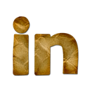 linkedin,logo icon