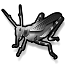 grasshopper,animal icon