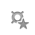 currency,sign,star icon