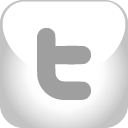 twitter,grey icon