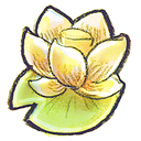 flower, lotus icon