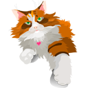 cat,animal icon