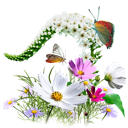 flowers, wildflowers icon