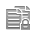 copy,lock icon