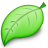 leaf icon